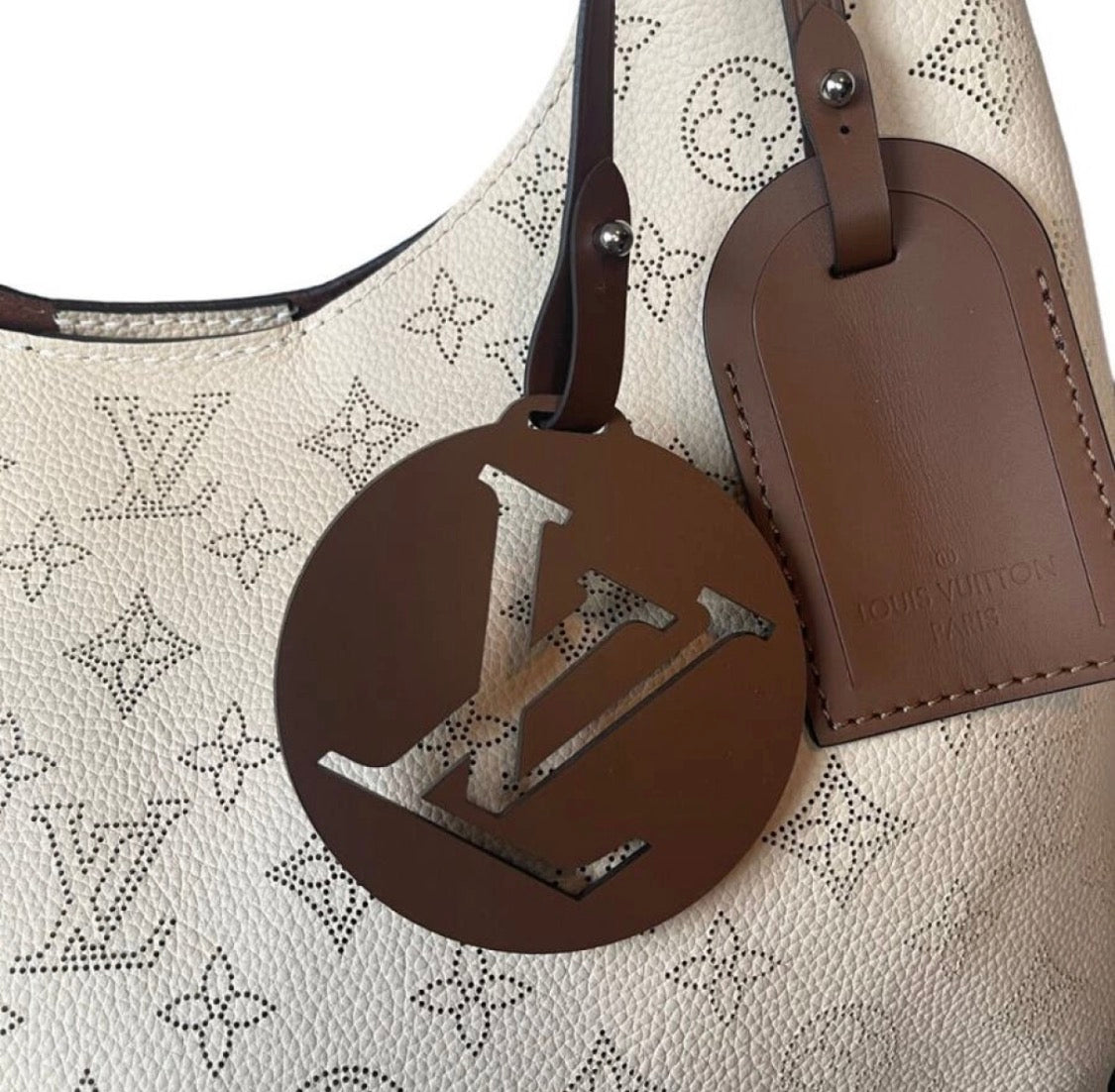 Louis Vuitton Carmel Hobo Bag