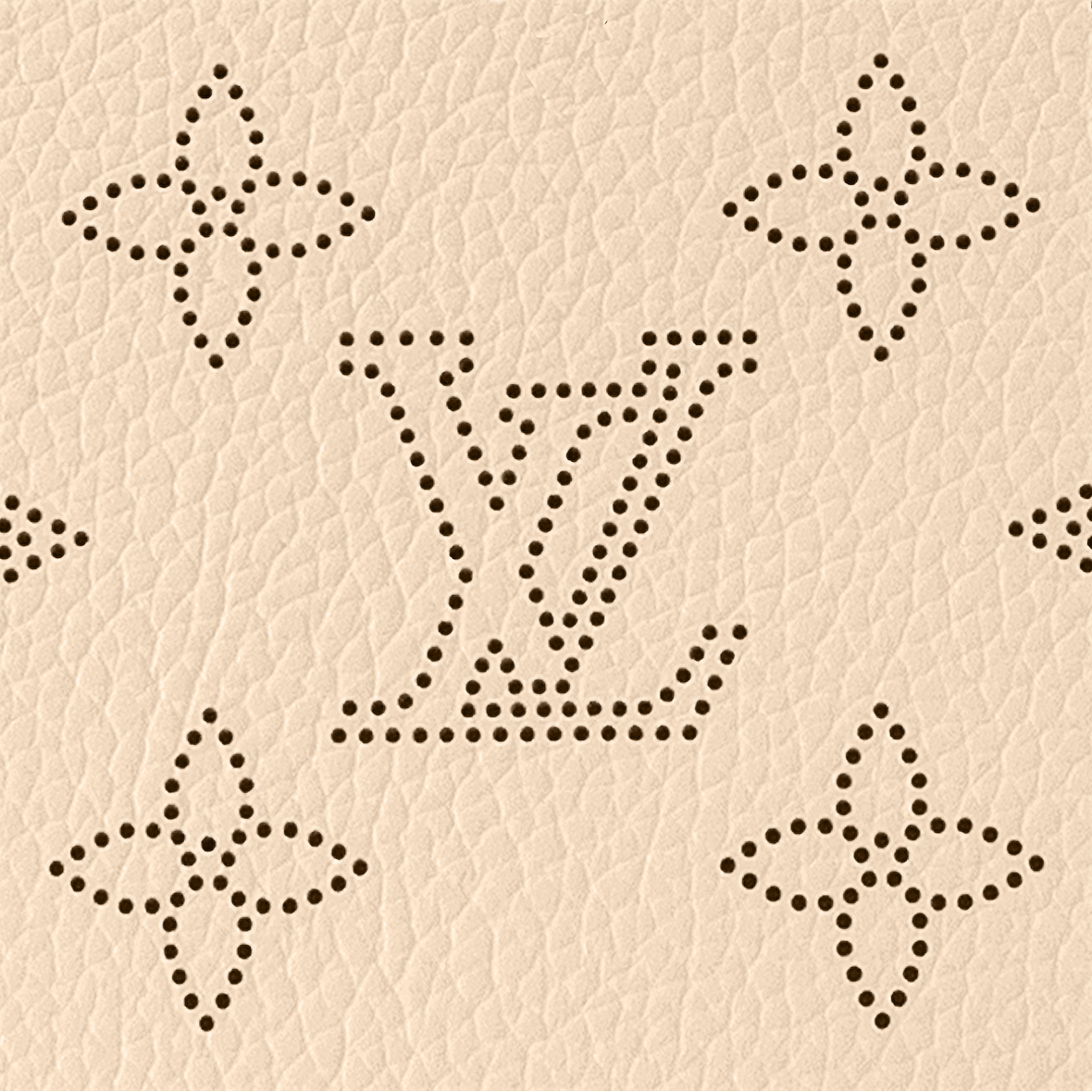 Louis Vuitton Carmel Hobo Bag